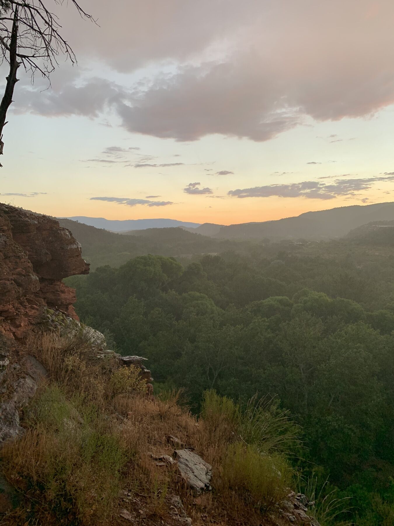 Sunset over a forested canyon